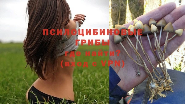 индика Магадан