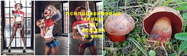 индика Магадан