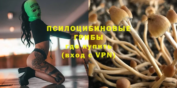 2c-b Майский